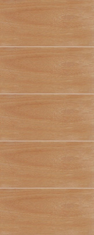 5 Panel Horizontal Door 813 X 2032