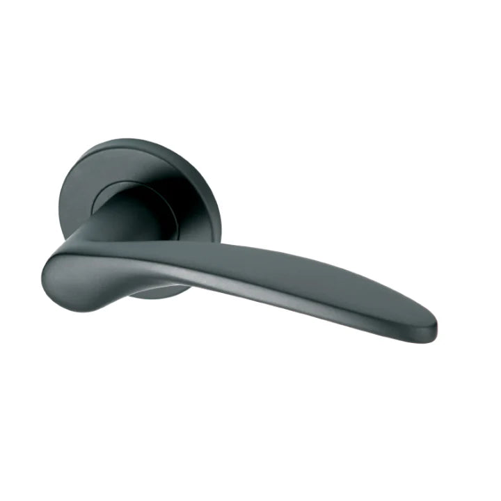 Molo Black