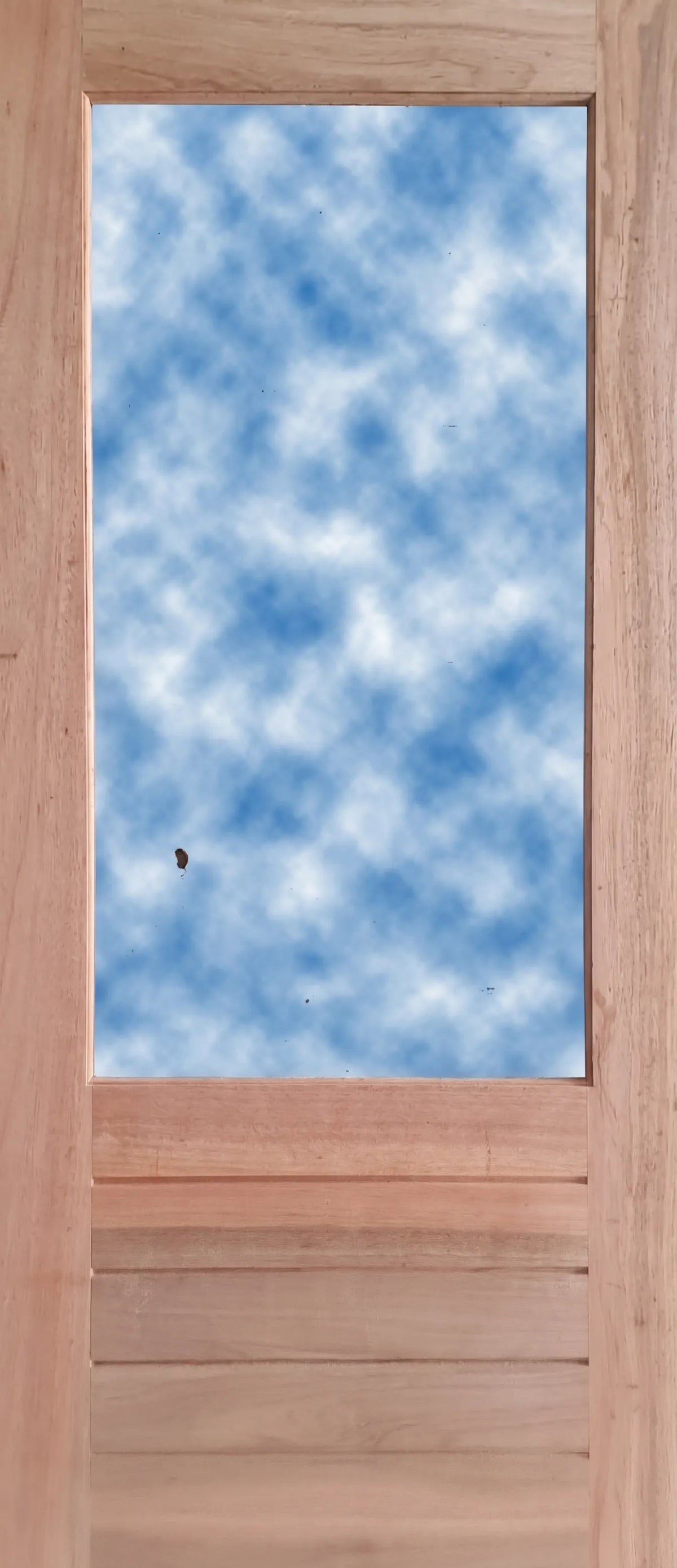 Single Meranti  door with large upper glazing opening and horizontal slatted bottom panel 813 × 2032mm.