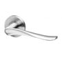 Picture for category Solid Lever Handles